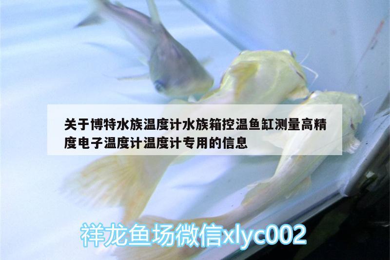 關(guān)于博特水族溫度計(jì)水族箱控溫魚缸測(cè)量高精度電子溫度計(jì)溫度計(jì)專用的信息