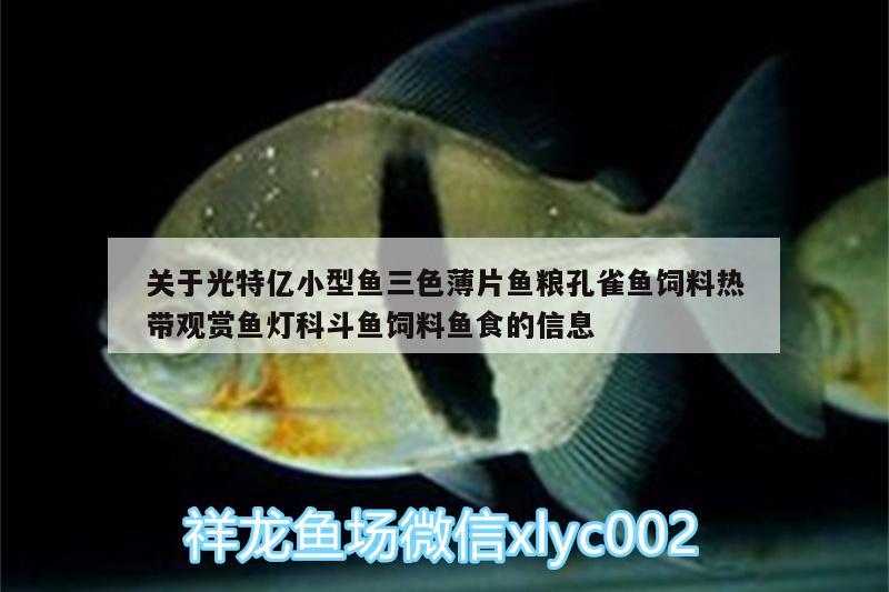 關(guān)于光特億小型魚三色薄片魚糧孔雀魚飼料熱帶觀賞魚燈科斗魚飼料魚食的信息