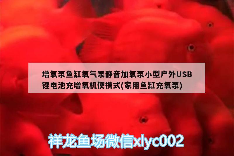 增氧泵魚缸氧氣泵靜音加氧泵小型戶外USB鋰電池充增氧機便攜式(家用魚缸充氧泵)