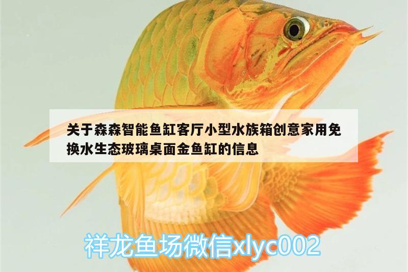 關(guān)于森森智能魚缸客廳小型水族箱創(chuàng)意家用免換水生態(tài)玻璃桌面金魚缸的信息 魚缸/水族箱