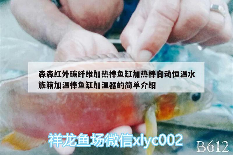 森森紅外碳纖維加熱棒魚缸加熱棒自動(dòng)恒溫水族箱加溫棒魚缸加溫器的簡(jiǎn)單介紹