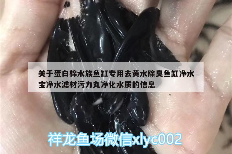 關(guān)于蛋白棉水族魚缸專用去黃水除臭魚缸凈水寶凈水濾材污力丸凈化水質(zhì)的信息 廣州水族器材濾材批發(fā)市場