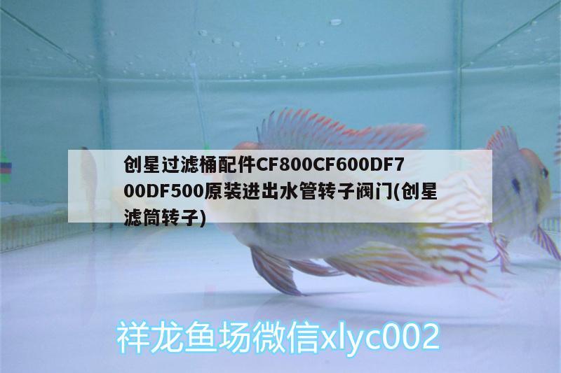 創(chuàng)星過濾桶配件CF800CF600DF700DF500原裝進(jìn)出水管轉(zhuǎn)子閥門(創(chuàng)星濾筒轉(zhuǎn)子) 廣州水族器材濾材批發(fā)市場