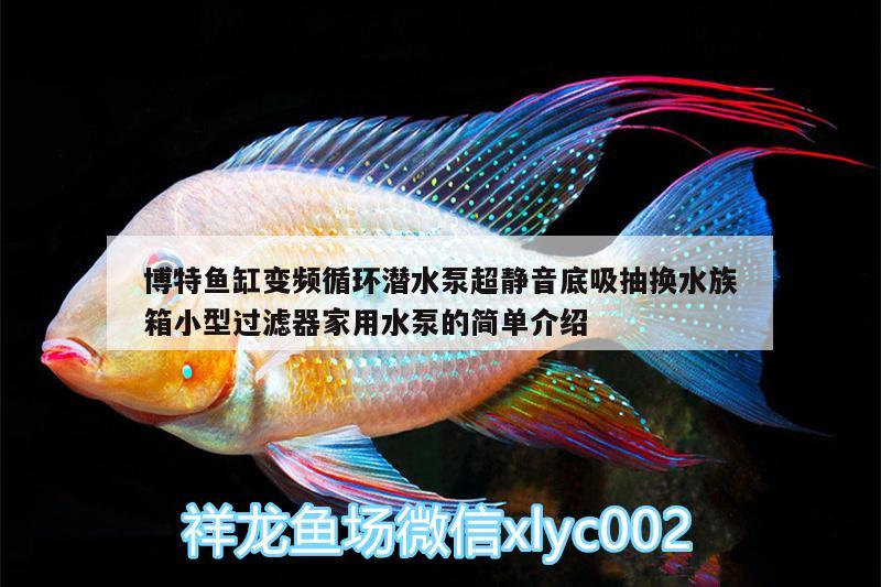 博特魚缸變頻循環(huán)潛水泵超靜音底吸抽換水族箱小型過濾器家用水泵的簡單介紹 博特水族