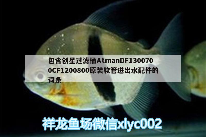 包含創(chuàng)星過濾桶AtmanDF1300700CF1200800原裝軟管進(jìn)出水配件的詞條