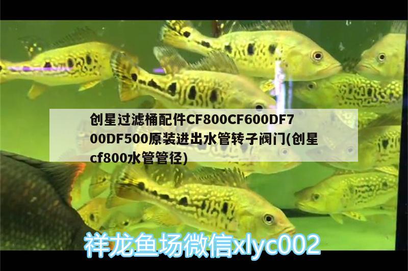 創(chuàng)星過濾桶配件CF800CF600DF700DF500原裝進(jìn)出水管轉(zhuǎn)子閥門(創(chuàng)星cf800水管管徑) 廣州水族器材濾材批發(fā)市場(chǎng)