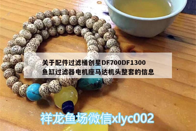 關(guān)于配件過濾桶創(chuàng)星DF700DF1300魚缸過濾器電機(jī)座馬達(dá)機(jī)頭整套的信息