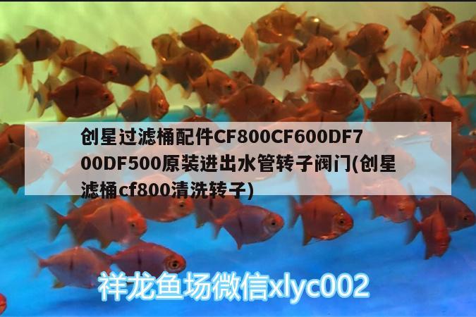 創(chuàng)星過濾桶配件CF800CF600DF700DF500原裝進(jìn)出水管轉(zhuǎn)子閥門(創(chuàng)星濾桶cf800清洗轉(zhuǎn)子)