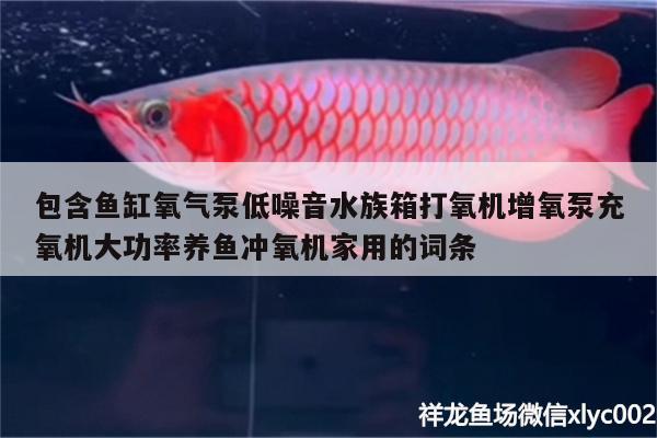 包含魚缸氧氣泵低噪音水族箱打氧機(jī)增氧泵充氧機(jī)大功率養(yǎng)魚沖氧機(jī)家用的詞條 魚缸/水族箱