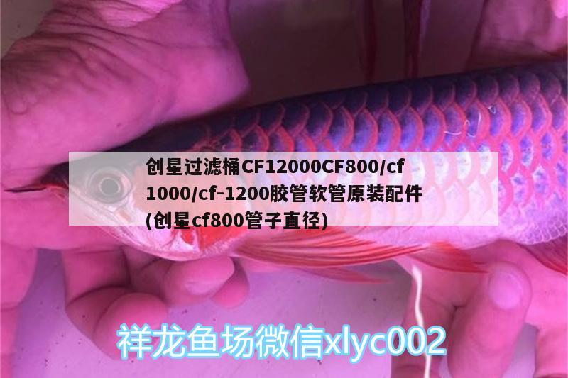 創(chuàng)星過濾桶CF12000CF800/cf1000/cf-1200膠管軟管原裝配件(創(chuàng)星cf800管子直徑)