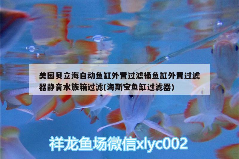 美國貝立海自動魚缸外置過濾桶魚缸外置過濾器靜音水族箱過濾(海斯寶魚缸過濾器)