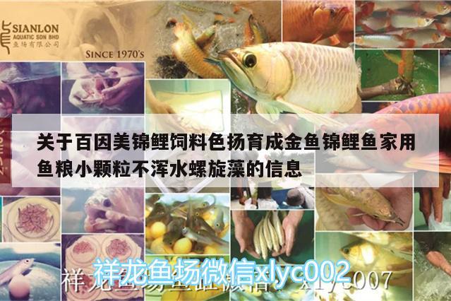 關于百因美錦鯉飼料色揚育成金魚錦鯉魚家用魚糧小顆粒不渾水螺旋藻的信息