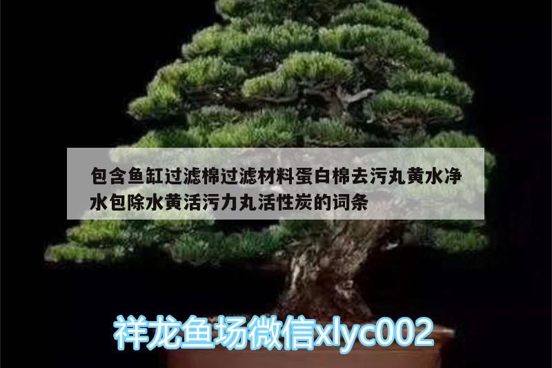 包含魚缸過濾棉過濾材料蛋白棉去污丸黃水凈水包除水黃活污力丸活性炭的詞條