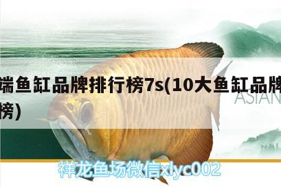 高端魚缸品牌排行榜7s(10大魚缸品牌排行榜)