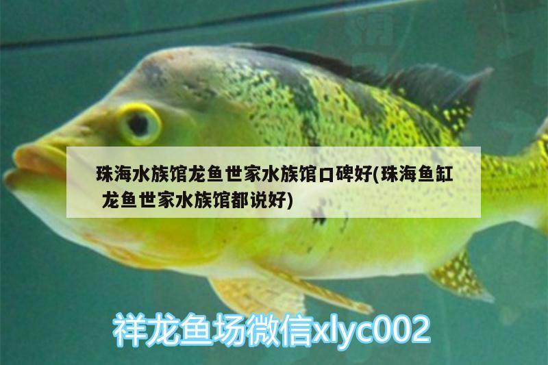 珠海水族館龍魚世家水族館口碑好(珠海魚缸龍魚世家水族館都說好)