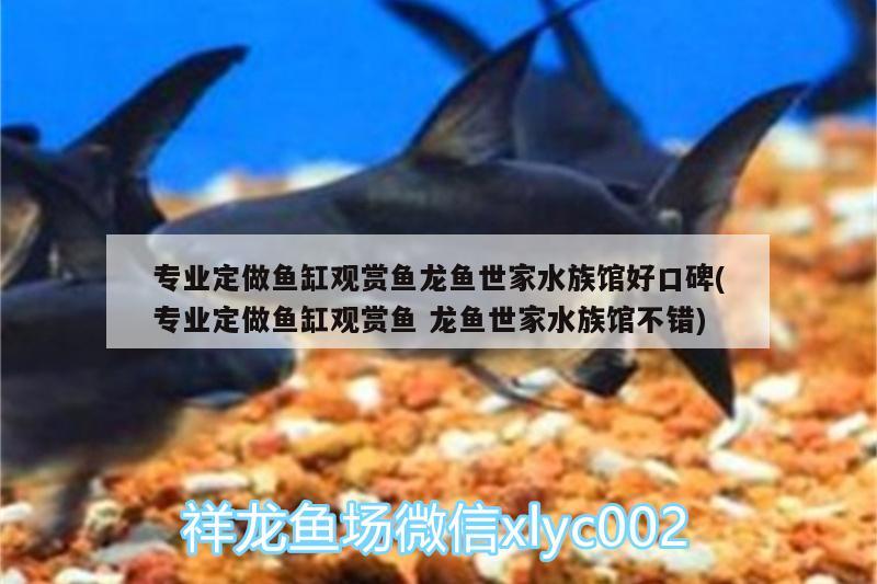 專業(yè)定做魚缸觀賞魚龍魚世家水族館好口碑(專業(yè)定做魚缸觀賞魚龍魚世家水族館不錯(cuò))