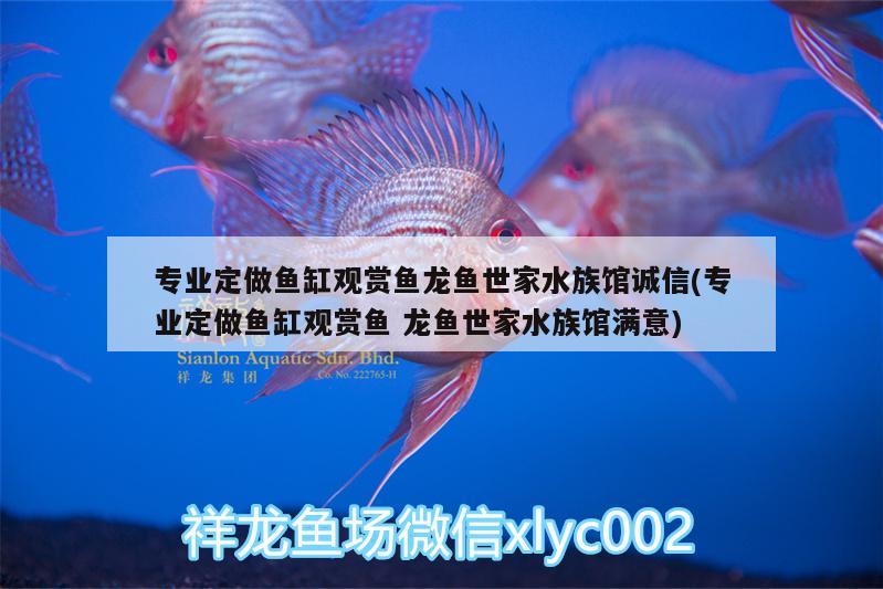 專業(yè)定做魚缸觀賞魚龍魚世家水族館誠信(專業(yè)定做魚缸觀賞魚龍魚世家水族館滿意)