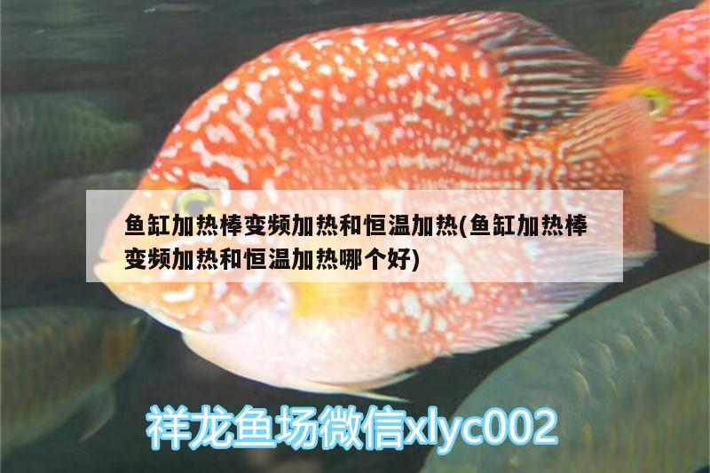 魚缸加熱棒變頻加熱和恒溫加熱(魚缸加熱棒變頻加熱和恒溫加熱哪個好)