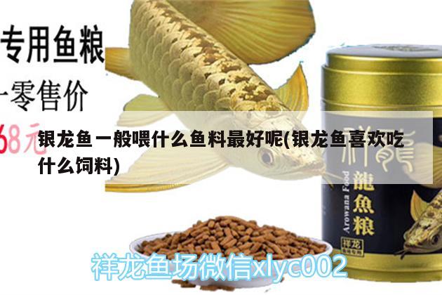 銀龍魚一般喂什么魚料最好呢(銀龍魚喜歡吃什么飼料)