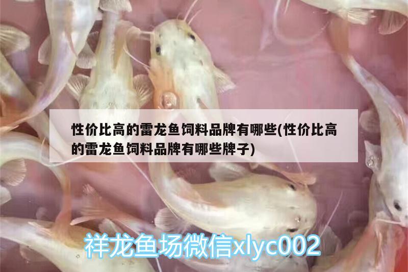 性價比高的雷龍魚飼料品牌有哪些(性價比高的雷龍魚飼料品牌有哪些牌子) 大嘴鯨魚