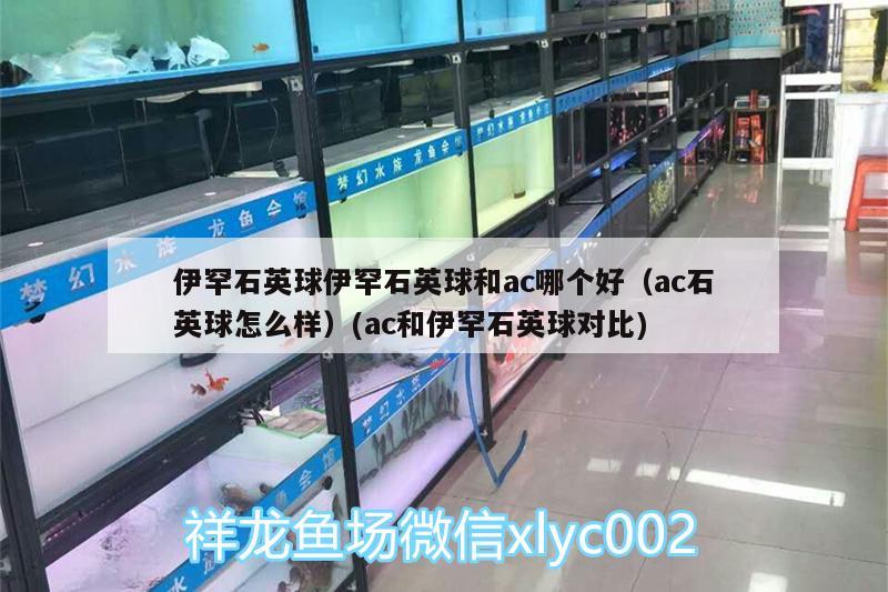 伊罕石英球伊罕石英球和ac哪個(gè)好（ac石英球怎么樣）(ac和伊罕石英球?qū)Ρ? 伊罕水族