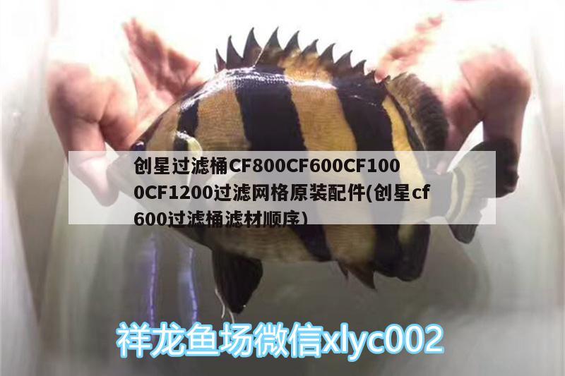 創(chuàng)星過濾桶CF800CF600CF1000CF1200過濾網(wǎng)格原裝配件(創(chuàng)星cf600過濾桶濾材順序) 廣州水族器材濾材批發(fā)市場