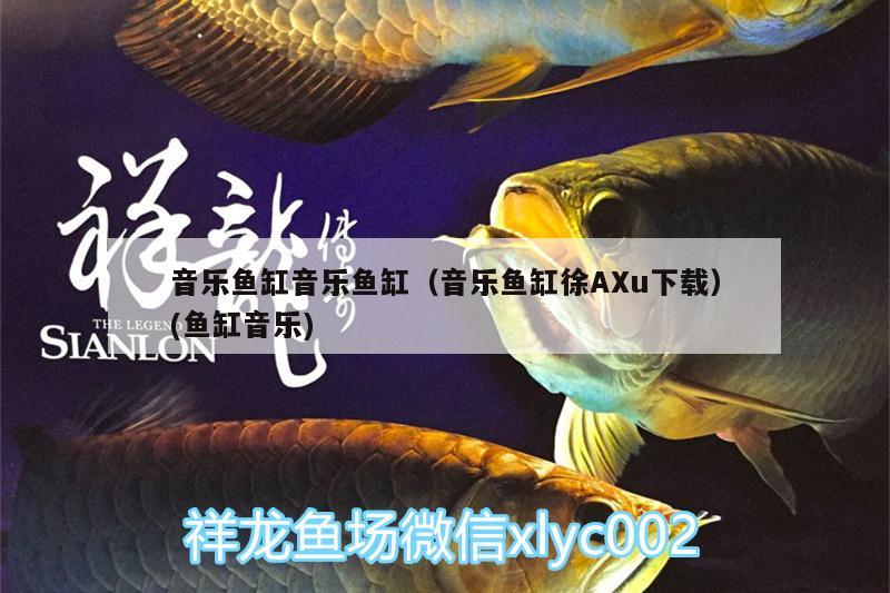 音樂魚缸音樂魚缸（音樂魚缸徐AXu下載）(魚缸音樂)