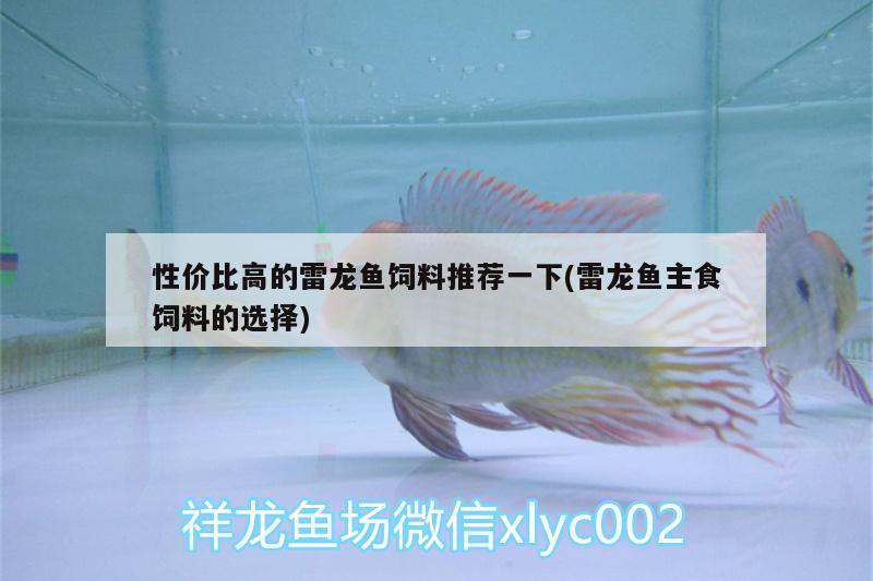 性價比高的雷龍魚飼料推薦一下(雷龍魚主食飼料的選擇) 魟魚百科