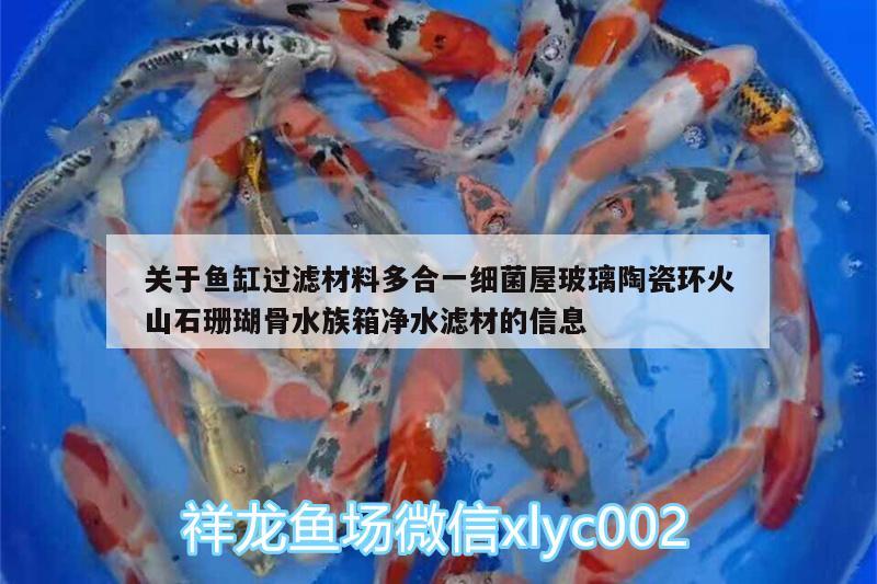 關(guān)于魚缸過濾材料多合一細(xì)菌屋玻璃陶瓷環(huán)火山石珊瑚骨水族箱凈水濾材的信息