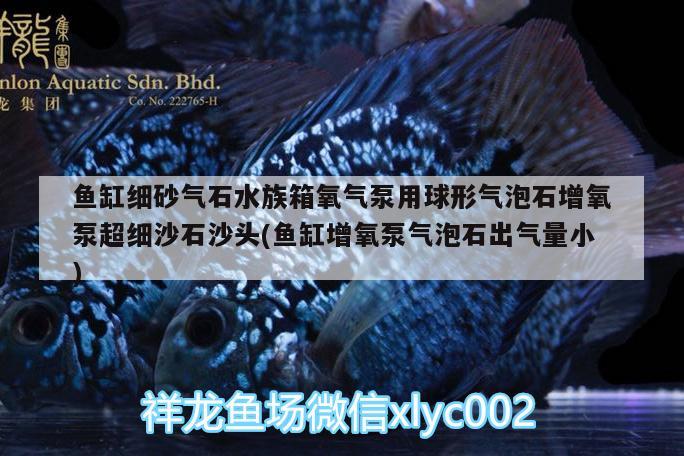 魚缸細(xì)砂氣石水族箱氧氣泵用球形氣泡石增氧泵超細(xì)沙石沙頭(魚缸增氧泵氣泡石出氣量小)