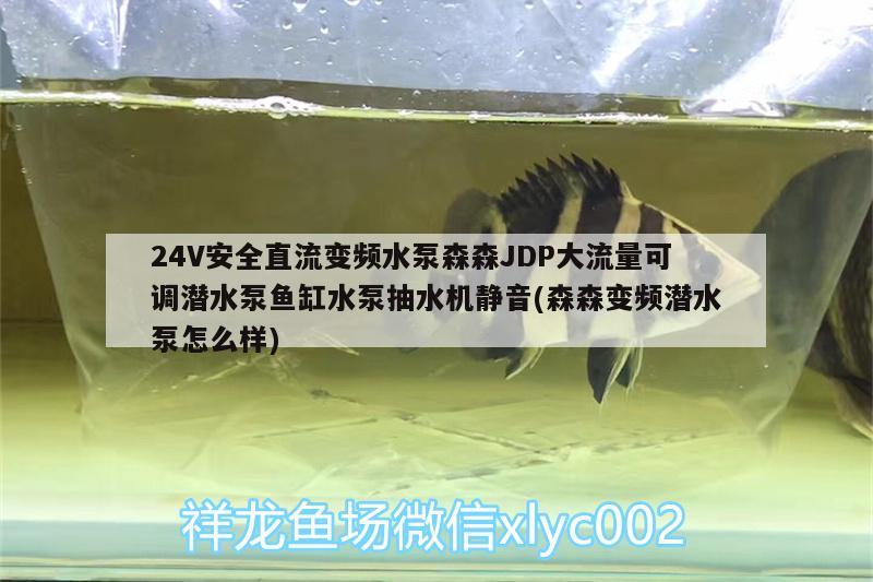 24V安全直流變頻水泵森森JDP大流量可調(diào)潛水泵魚(yú)缸水泵抽水機(jī)靜音(森森變頻潛水泵怎么樣)