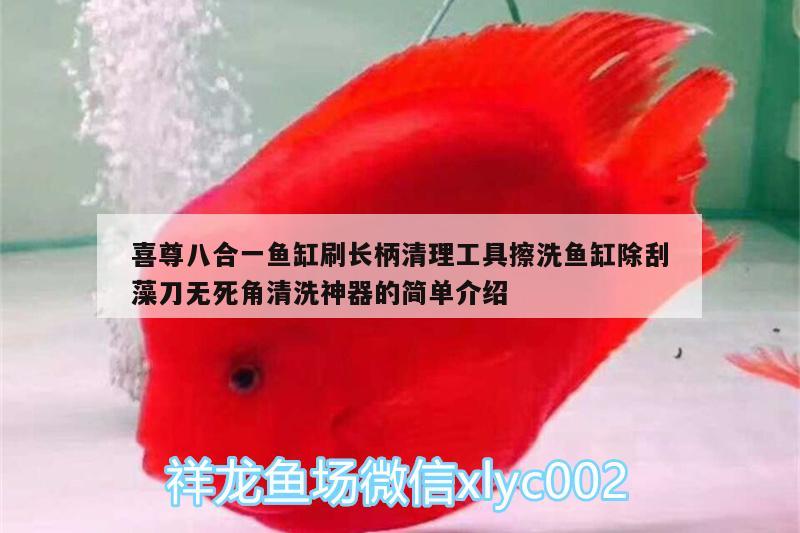 喜尊八合一魚缸刷長柄清理工具擦洗魚缸除刮藻刀無死角清洗神器的簡單介紹