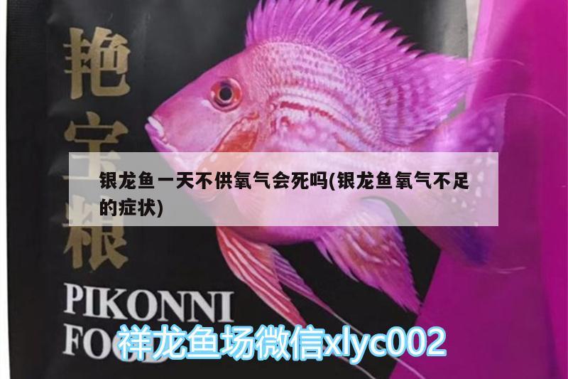 銀龍魚一天不供氧氣會(huì)死嗎(銀龍魚氧氣不足的癥狀)