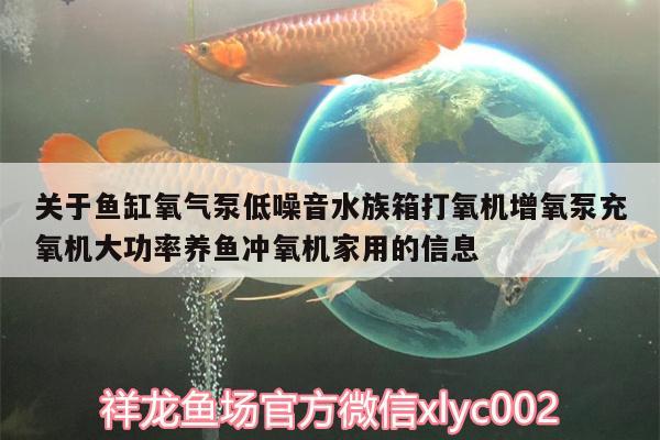 關(guān)于魚缸氧氣泵低噪音水族箱打氧機(jī)增氧泵充氧機(jī)大功率養(yǎng)魚沖氧機(jī)家用的信息 魚缸/水族箱