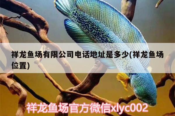 祥龍魚場有限公司電話地址是多少(祥龍魚場位置) 祥龍魚場