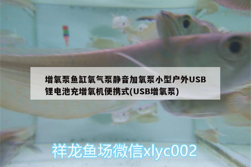 增氧泵魚缸氧氣泵靜音加氧泵小型戶外USB鋰電池充增氧機便攜式(USB增氧泵)