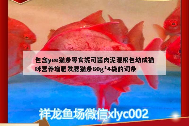 包含yee貓條零食妮可醬肉泥濕糧包幼成貓咪營(yíng)養(yǎng)增肥發(fā)腮貓條80g