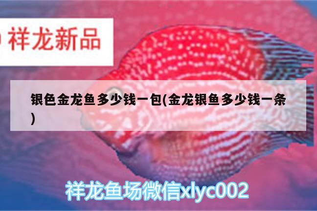 銀色金龍魚多少錢一包(金龍銀魚多少錢一條)