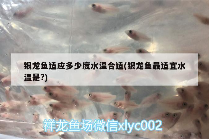 銀龍魚適應多少度水溫合適(銀龍魚最適宜水溫是?)