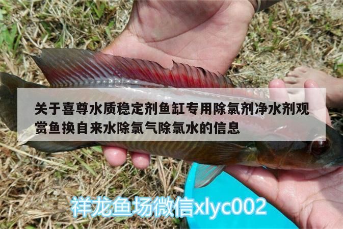 關于喜尊水質(zhì)穩(wěn)定劑魚缸專用除氯劑凈水劑觀賞魚換自來水除氯氣除氯水的信息