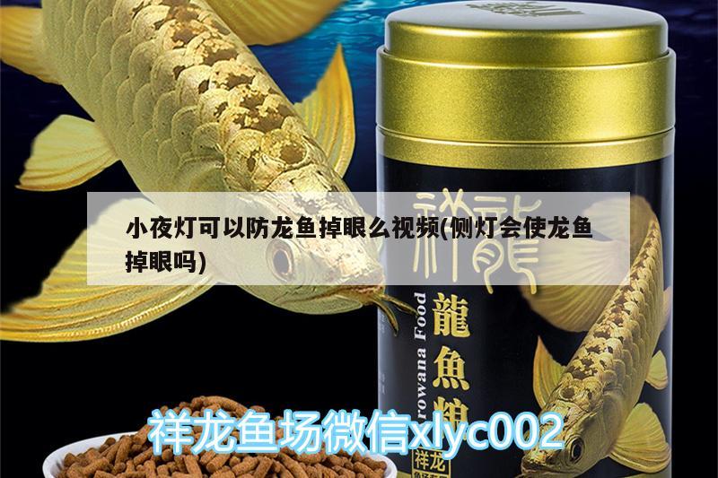 小夜燈可以防龍魚掉眼么視頻(側(cè)燈會使龍魚掉眼嗎) 泰龐海蓮魚