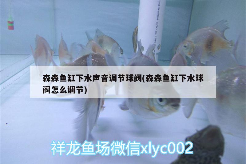 森森魚(yú)缸下水聲音調(diào)節(jié)球閥(森森魚(yú)缸下水球閥怎么調(diào)節(jié)) 申古銀版魚(yú)