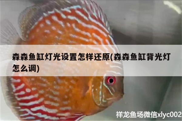 森森魚缸燈光設置怎樣還原(森森魚缸背光燈怎么調)