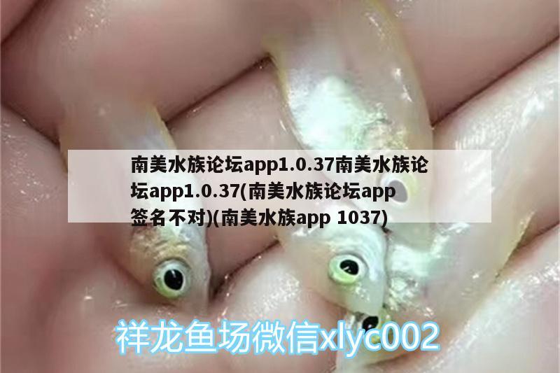 南美水族論壇app1.0.37南美水族論壇app1.0.37(南美水族論壇app簽名不對(duì))(南美水族app1037) 黑桃A魚(yú)苗