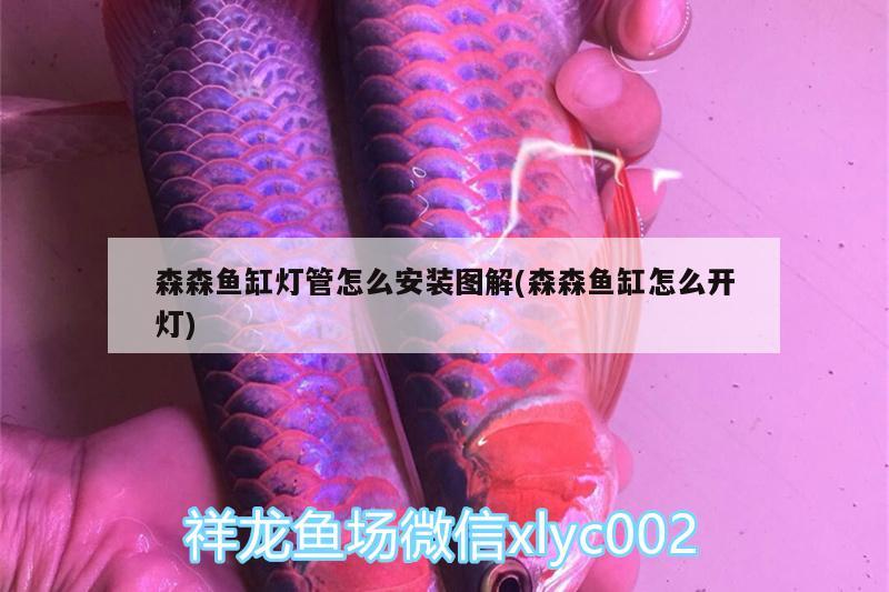 森森魚缸燈管怎么安裝圖解(森森魚缸怎么開燈) 黃金貓魚