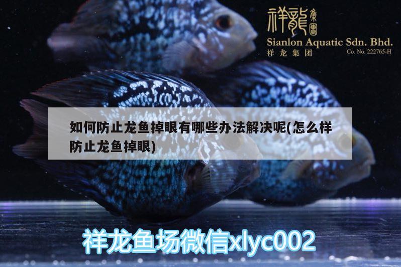 如何防止龍魚掉眼有哪些辦法解決呢(怎么樣防止龍魚掉眼)