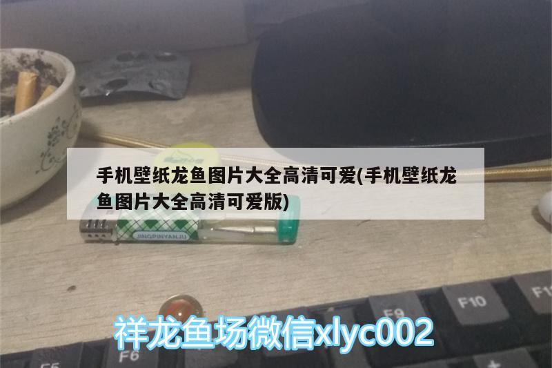 手機壁紙龍魚圖片大全高清可愛(手機壁紙龍魚圖片大全高清可愛版) 一眉道人魚