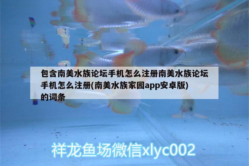 包含南美水族論壇手機(jī)怎么注冊(cè)南美水族論壇手機(jī)怎么注冊(cè)(南美水族家園app安卓版)的詞條