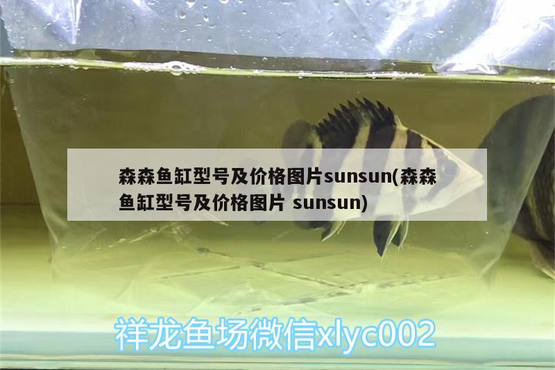 森森魚缸型號及價格圖片sunsun(森森魚缸型號及價格圖片sunsun) 肥料