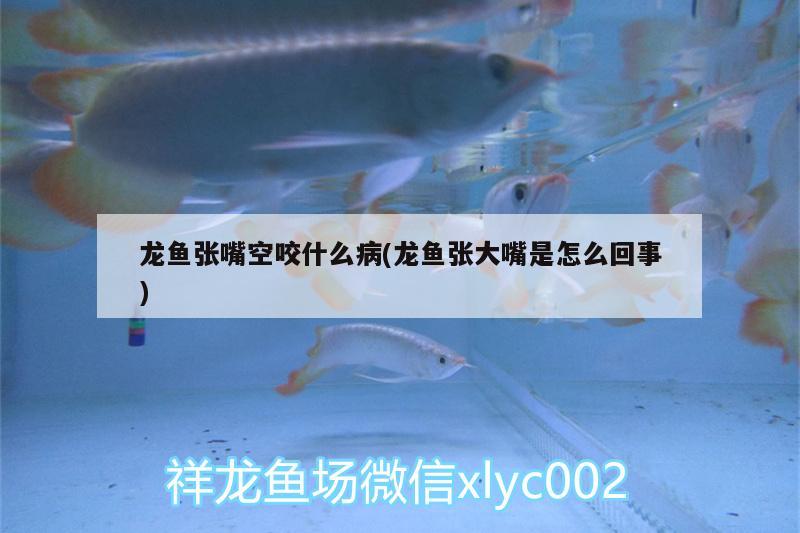 龍魚張嘴空咬什么病(龍魚張大嘴是怎么回事) 過濾設備